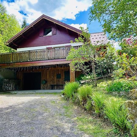 Les Cimes Blanches Cledicihome Chalet 10 Pers Spa & Grand Terrain 4 Minutes Des Pistes La Bresse Exteriör bild