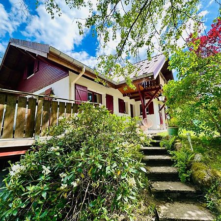 Les Cimes Blanches Cledicihome Chalet 10 Pers Spa & Grand Terrain 4 Minutes Des Pistes La Bresse Exteriör bild