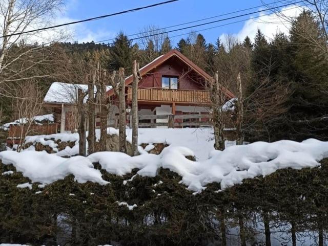 Les Cimes Blanches Cledicihome Chalet 10 Pers Spa & Grand Terrain 4 Minutes Des Pistes La Bresse Exteriör bild